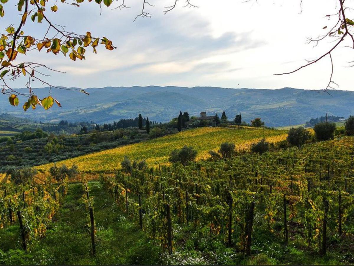 Holiday Home Locazione Turistica Selvapiana By Interhome Greve in Chianti Bagian luar foto